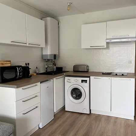 Apartment Le Blum - T2 Neuf A Alban